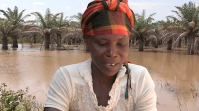 Rumonge: Uruzi Murembwe rwonyene rwononye 200ha zirenga. 
