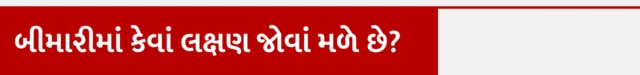 બીબીસી ગુજરાતી, આરોગ્ય, ગુલિયન બારી સિન્ડ્રોમ, બીમારી, રોગચાળો