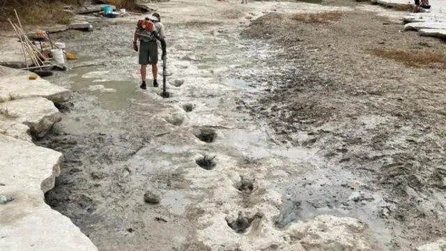 ኣሰር ዳይኖሰር