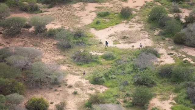 Daa'imni waggaa 4 bade yeroo argamutti