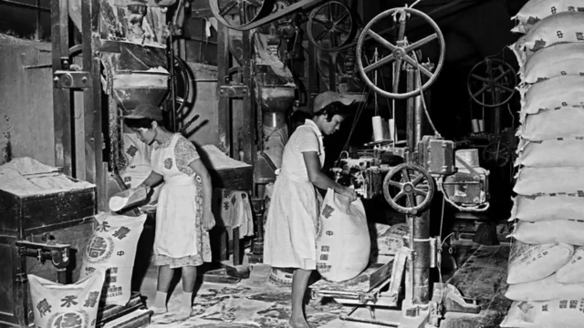밀가루 공장에서 일하고 있는 여성들