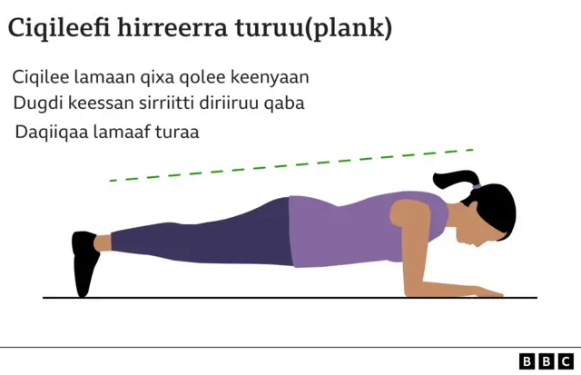 Sochiin hirree ofiirratti hirkachuun taasifamu 'puush-appii' waliin walfakkaata