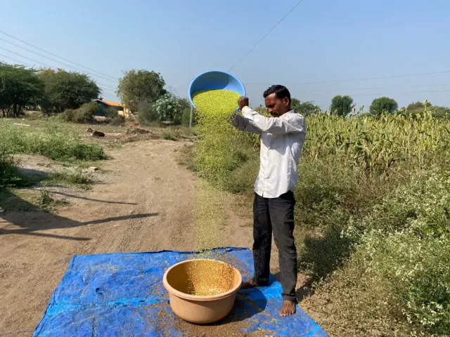 हुरडा उत्पादक शेतकरी 