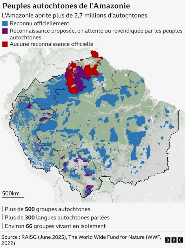 Infographie présentant une carte des territoires indigènes en Amazonie et des informations sur les peuples indigènes.