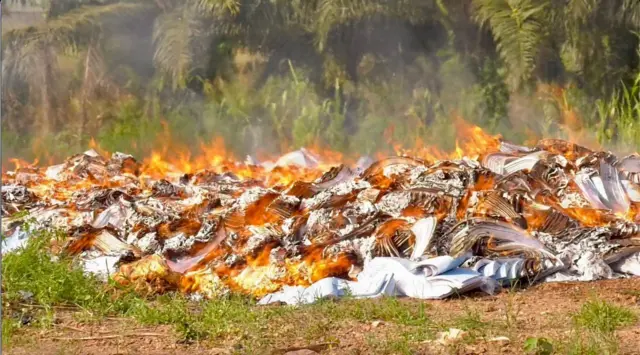 burning ballot papers