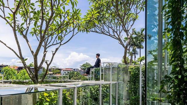 مبنى يعكس الطبيعة في فيتنام