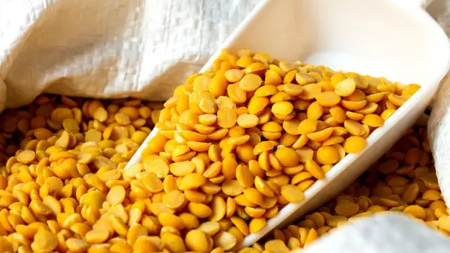 બીબીસી ગુજરાતી સમાચાર