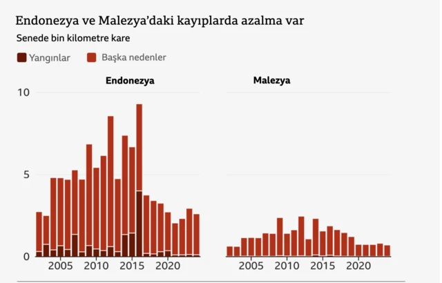 Tropik ormanların yok oluş hızını gösteren grafik