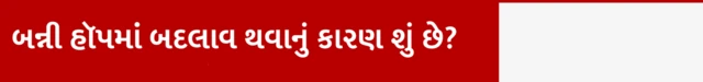 બન્ની હૉપમાં બદલાવ થવાનું કારણ શું છે?