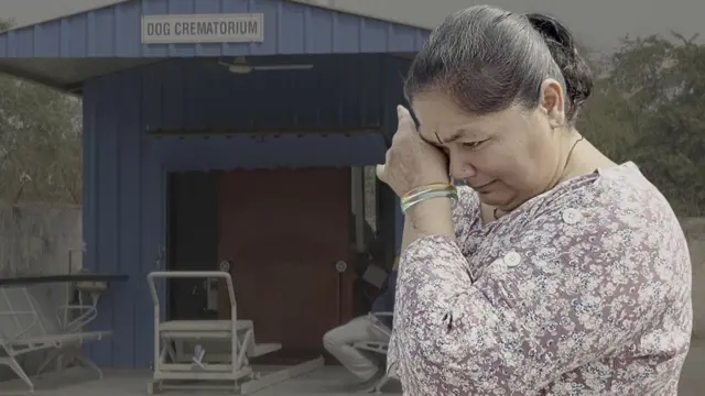 અમદાવાદમાં બનેલું એ સ્મશાન જ્યાં લોકો તેમના પાળતું શ્વાનની અંતિમવિધિ કરવા જાય છે