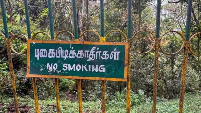 சென்னையிலிருந்து ஒரே நாளில் சென்று திரும்பலாம் - கோடையை குளிர்ச்சியாக்கும் ஐந்து அருவிகள்