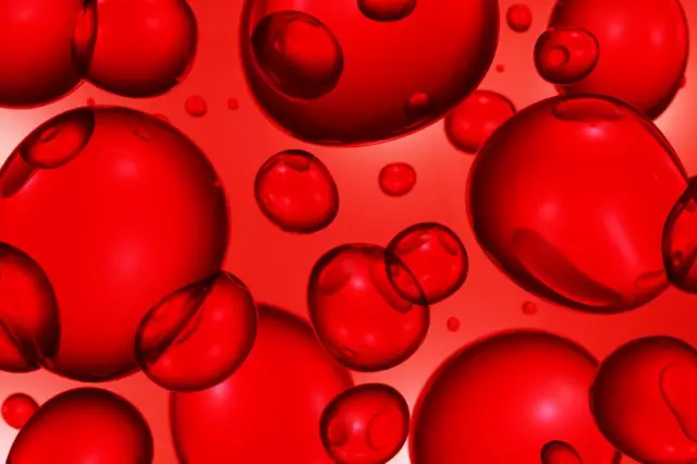 ਮਨੁੱਖੀ ਸੈੱਲ