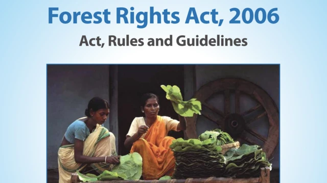 తునికి ఆకు ఏరుతున్న మహిళలు