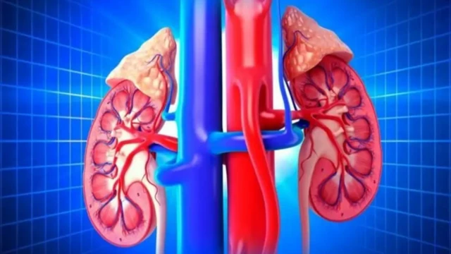 இளைஞர்களிடையே அதிகரிக்கும் சிறுநீரக செயலிழப்பு