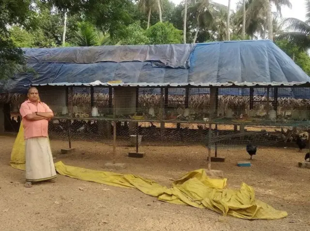 கடக்நாத் கோழி vs நாட்டுக் கோழி