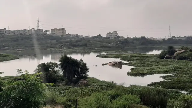 పరికి చెరువు