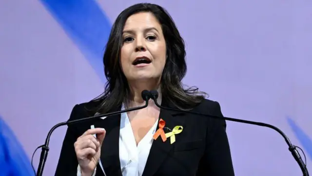 एलिस स्टेफ़निक