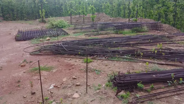 अलपत्र अवस्थाका