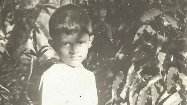 யானைகள் இலங்கை