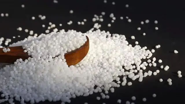 साबूदाना