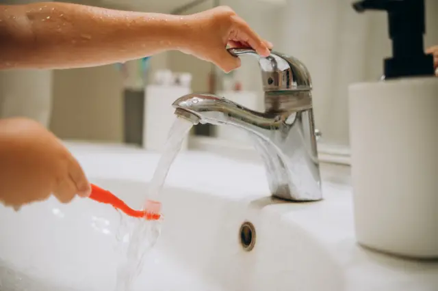 பாக்டீரியாக்கள், வாய்ப்புண், வைரஸ், பூஞ்சைக் காளன், பற்தூரிகை