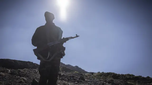 Loltuu waardiyyaa dhaabbatu