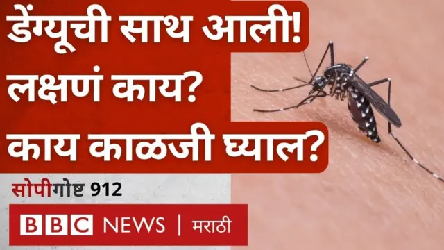 डेंग्यू