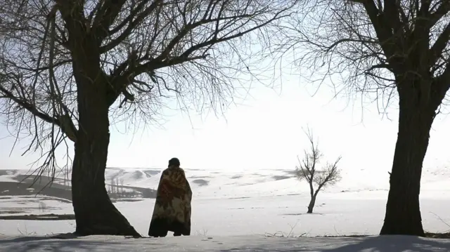 مستند حبیب‌الله