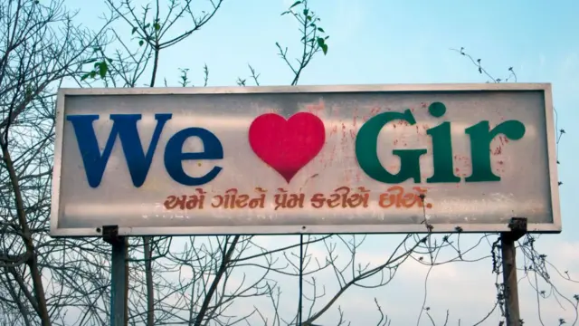 સુપ્રીમ કોર્ટના ચુકાદા અનુસાર કોઈ ઉદ્યાન કે અભ્યારણ્યનો ESZ એક કિલોમીટર સુધી તો વિસ્તરેલો હોવો જ જોઈએ એવું ફરજિયાત નથી