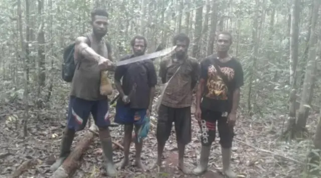 papua, lingkungan, hutan