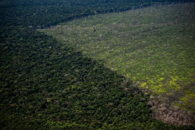 Vista de una zona talada en la Amazonas