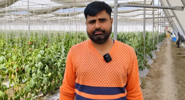 ਚੇਤਨ ਸੈਣੀ 