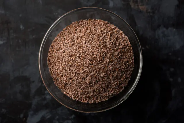 બીબીસી ગુજરાતી