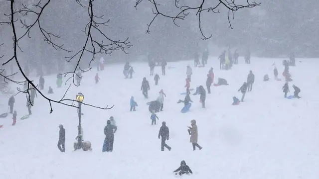 Дети катаются на санках в Центральном парке