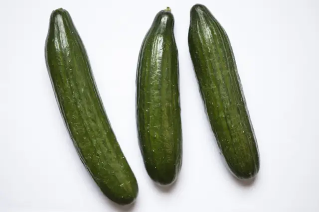 Qattiq nola porno onlayn