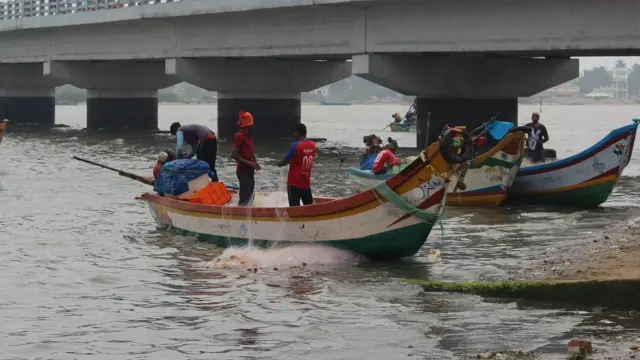 அதானி துறைமுக விரிவாக்கத் திட்டத்தால் பழவேற்காடு ஏரி அழிந்துவிடுமா? உண்மை என்ன? கள நிலவரம்