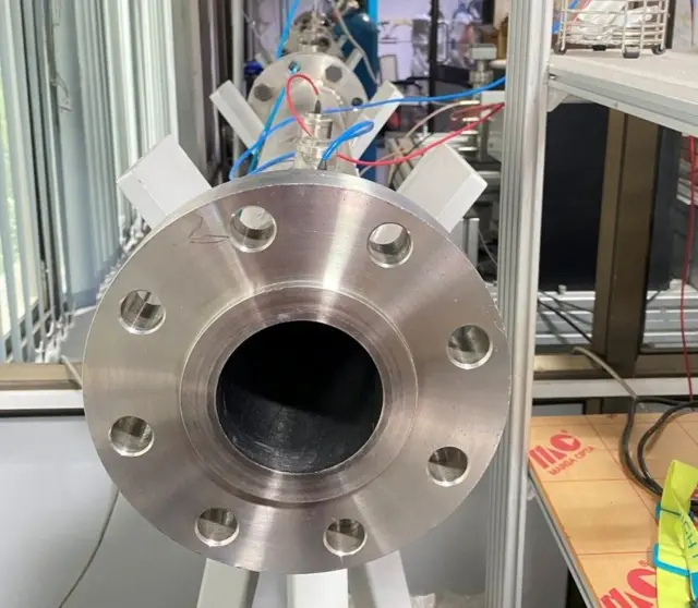 'இந்தப் பூஞ்சை செவ்வாய் கோளில்கூட சாகாது' - விஞ்ஞானிகளை வியக்க வைத்த கண்டுபிடிப்பு