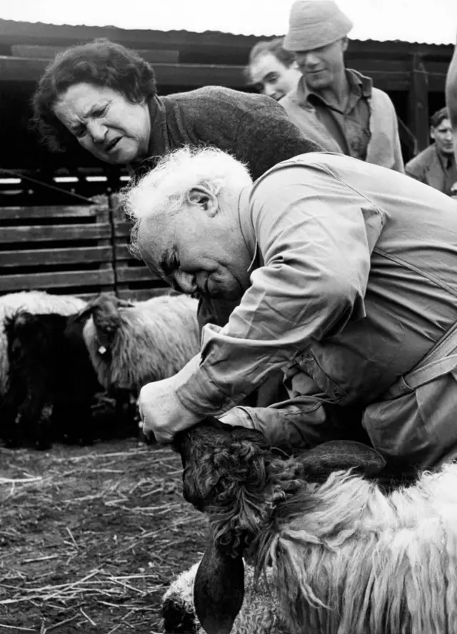 بن غوريون وزوجته بولا في كيبوتس سديه بوكر عام 1953