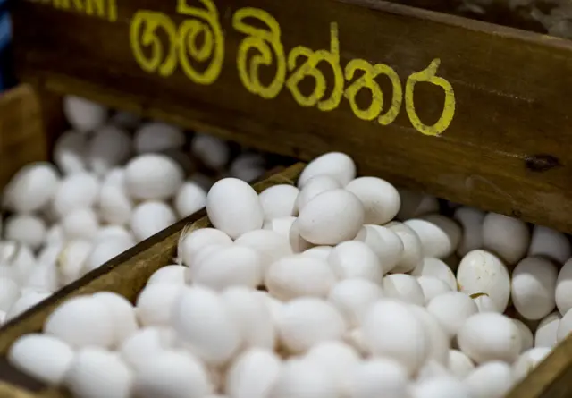 බිත්තර මිල ඉහළ යෑම හමුවේ පාරිභෝගිකයින් දැඩි දුෂ්කරතාවට පත්ව සිටින අතර ඊට විසඳුම් වශයෙන් බිත්තර ඉන්දියාවෙන් ආනයනය කිරීමට පියවර ගෙන ඇත.