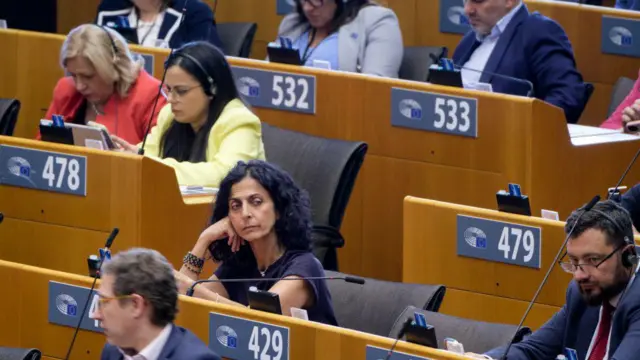 ইউরোপীয় পার্লামেন্টের অধিবেশনের একটি অংশ।