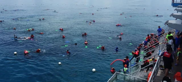 صورة للحاجز المرجاني العظيم وهو منتزه البحري شيدته أستراليا في ثمانينيات القرن العشرين للحفاظ على الحياة البحرية العالمية والتنوع البيولوجي، ويظهر في الصورة أشخاصاً يسبحون فوق المياه ويرتدون نظارت بحر لرؤية الشعب المرجانية.