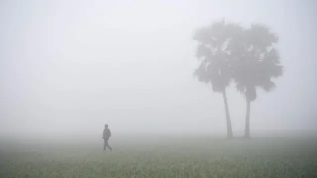 ঘন কুয়াশার মাঝে একজন হেঁটে যাচ্ছেন, পেছনে দু'টো গাছ 