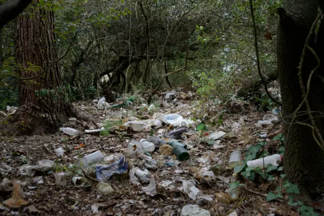 લીલી પરિક્રમા, જૂનાગઢ, ગિરનાર, ભવનાથ તળેટી, 