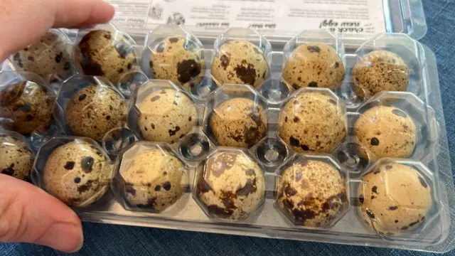 Des œufs de caille sur un plateau