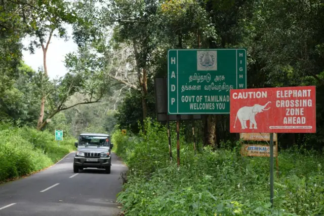 மின்வேலிகளால் தொடரும் யானை மரணங்கள்