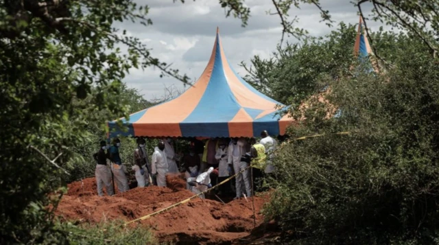 Des équipes médico-légales ont exhumé des dizaines de corps dans des fosses peu profondes dans la forêt.