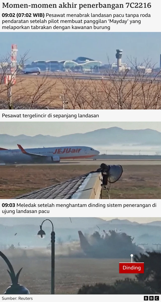 Jeju air, pesawat, korsel, kecelakaan, bandara muan