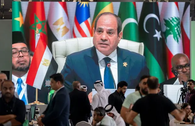 মিশরের প্রেসিডেন্ট আবদের ফাত্তাহ আল সিসি এই যৌথ আরব বাহিনী গঠনের প্রস্তাব তোলেন ব