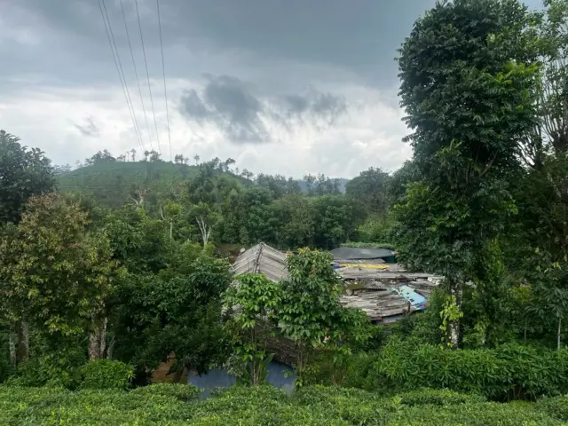 நீலகிரி, கூடலூர், யானை - மனித மோதல்