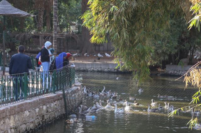 مصريون يتنزهون في حديقة حيوان الجيزة